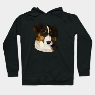 Aussie Hoodie